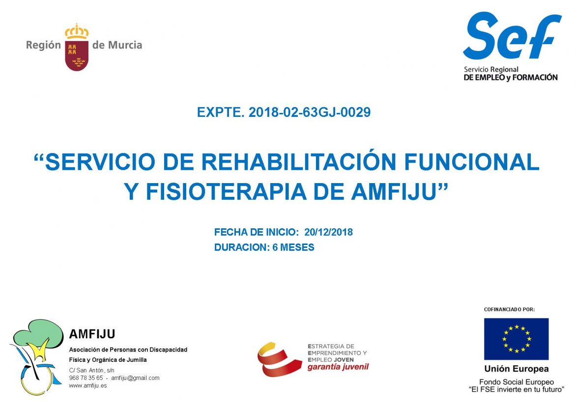 SUBVENCION SERVICIO EMPLEO GARANTIA JUVENIL